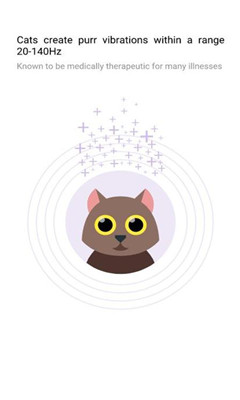 purrify app