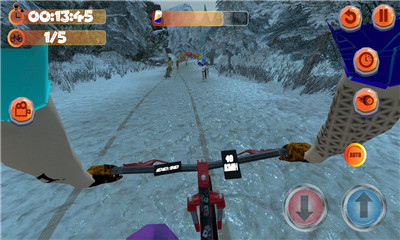 MTB Downhill 2Α